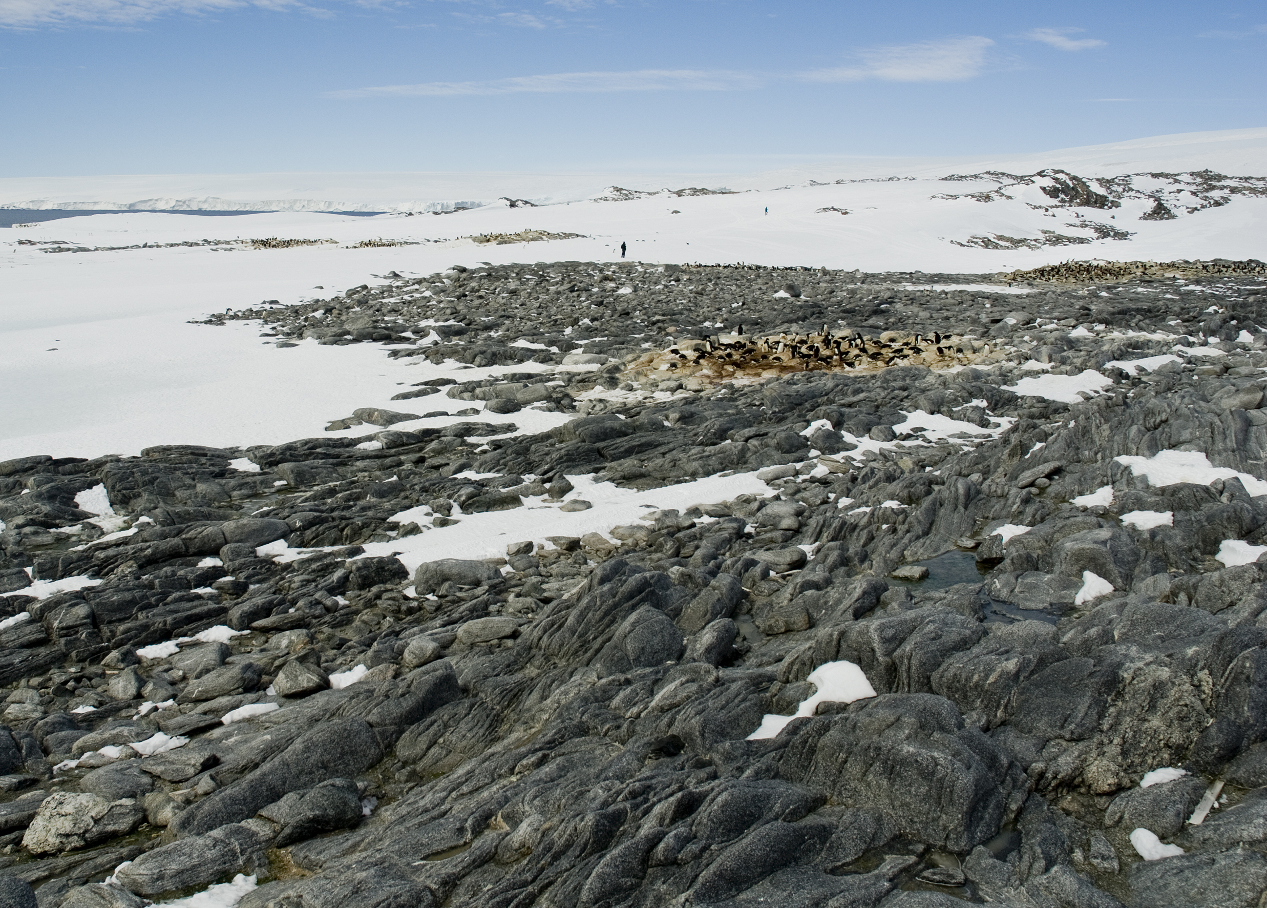 East Antarctic Tundra | One Earth